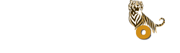 Car Hire Ranthambore